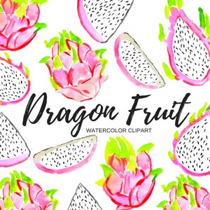 Fruit clipart - watercolor cliprt - dragon fruit clipart - food clipart -tropical clipart -  Commercial Use