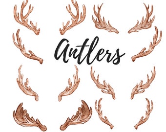 Watercolor deer antler clipart, hunting, forest, animal graphics woodland png commercial use