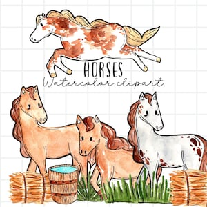 Watercolor horse clipart, baby horse farm animal graphics horsing riding png commercial use