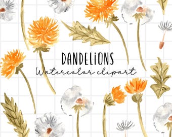 Watercolor dandelion clipart, spring floral wildflower graphics, first day of spring commercial use png
