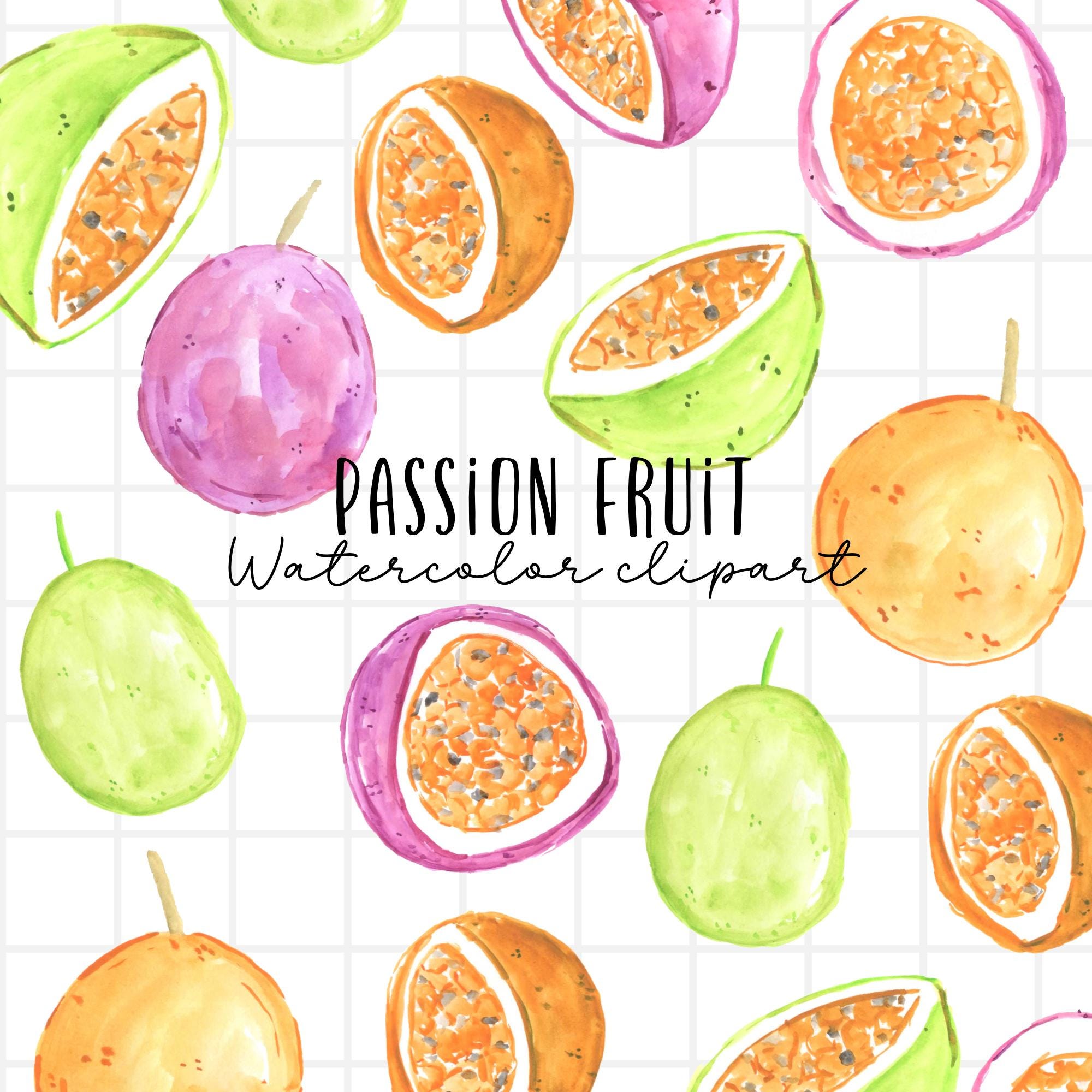 Watercolor Fruit Clipart, Passion Fruit, Watercolor Food Clipart