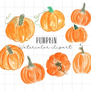 Fall clipart - Watercolor pumpkin, harvest, farm,Halloween, autumn, garden, pumpkin patch, fall harvest commercial use sublimation PNG