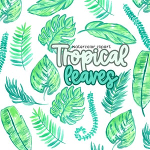 Tropical Leaves Clip Art - Tropical Clip Art - Island clip art - Floral clip art - Watercolor clip art - Commercial Use