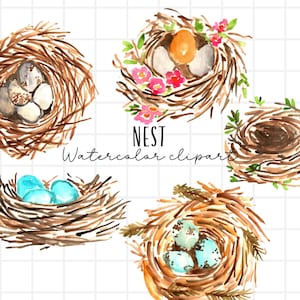 Spring clipart, watercolor png bird nest clipart bird egg clipart digital download commercial use
