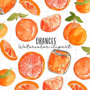 Watercolor oranges - orange clipart - fruit clipart - Citrus clipart - Commercial Use