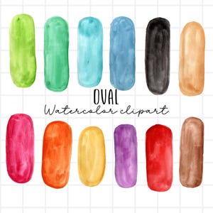 Watercolor rainbow oval shape clip art - watercolor shapes - shape graphics commercial use