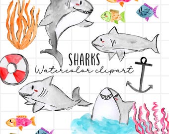 Aquarell Hai Clipart, Fisch, Leben im Ozean, Kawaii Hai, Tiergrafiken digitaler Download png kommerzielle Nutzung