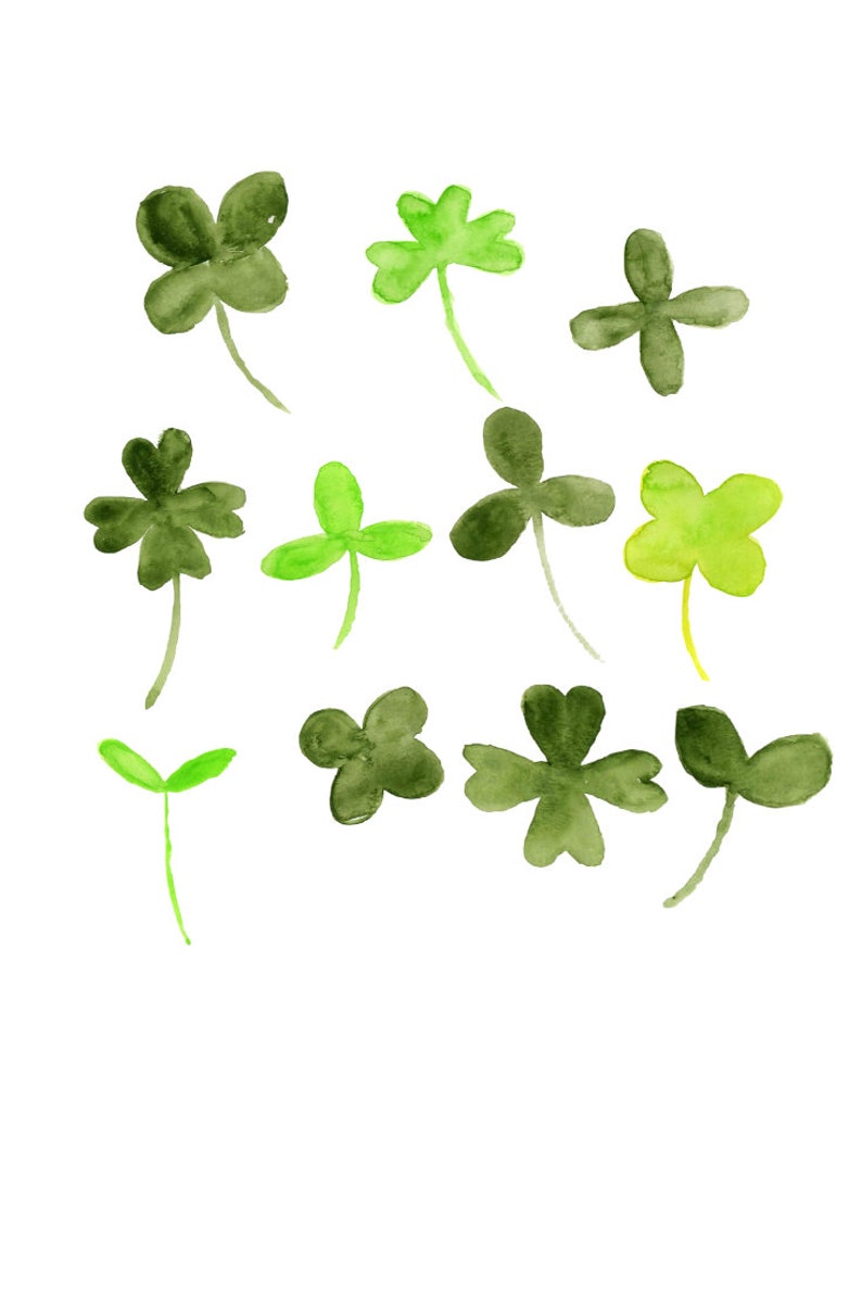 Download Watercolor clover clipart saint patricks day floral clover ...