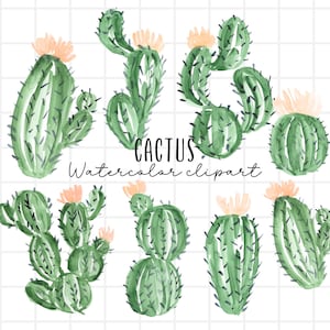 Clipart cactus aquarelle - illustration succulente - graphismes végétaux - usage commercial