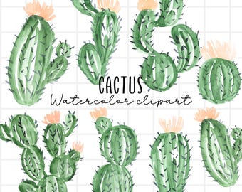 Watercolor cactus clipart - succulent illustration - plant graphics - commercial use