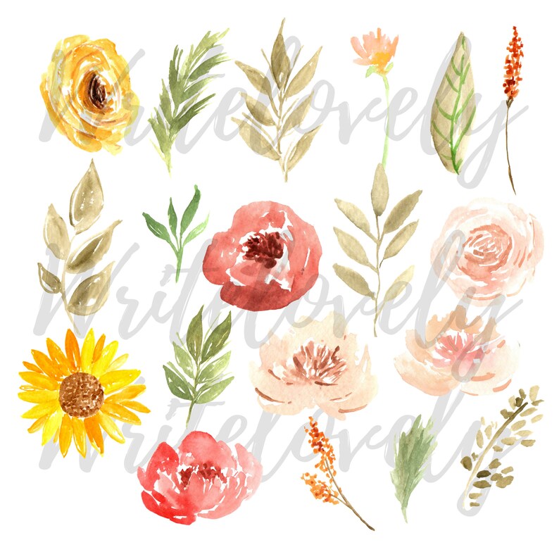 以下が含まれることがあります： 水彩画で描かれた様々な花と葉のイラストの集まりです。花は、黄色、ピンク、赤、オレンジのヒマワリ、バラ、シャクヤクなどがあります。葉は緑と茶色の色合いです。