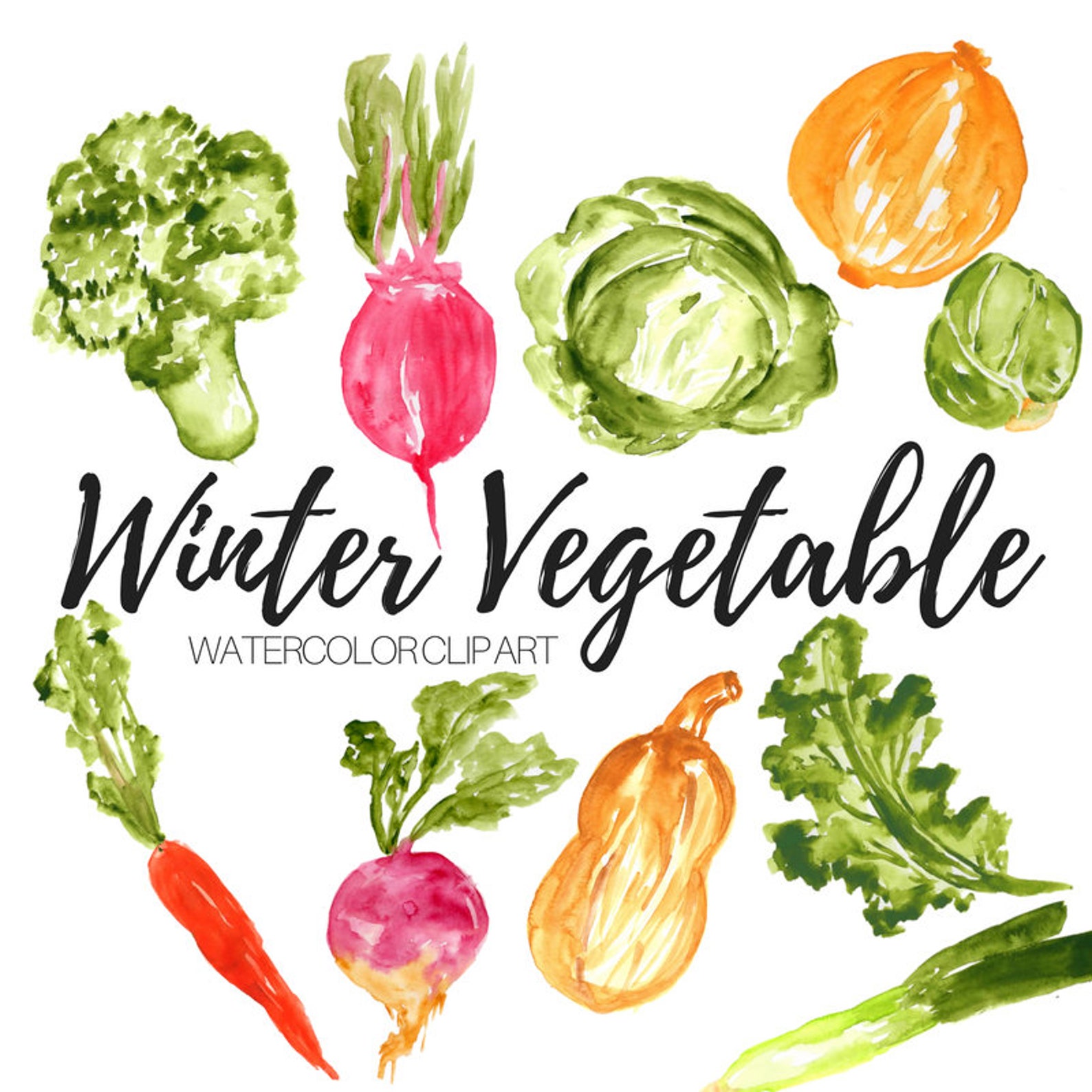 Vegetable Clip Art Veggie Clip Art Food Clip Art Etsy