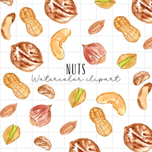 Watercolor clipart - food clipart - nut clipart - mix nuts clipart - almond clipart - cashew , peanut clipart -Commercial Use