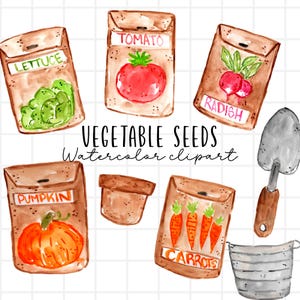 Jardinagem em aquarela, clipart de pacotes de sementes de vegetais, download digital de jardinagem agrícola para uso comercial