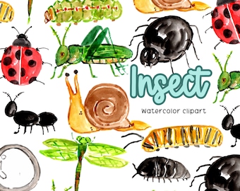 Watercolor bug clipart, science insect in png format, digital download commercial use