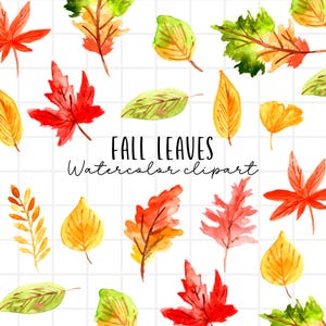 Watercolor fall leaves clipart, Autumn graphics in png format commercial use