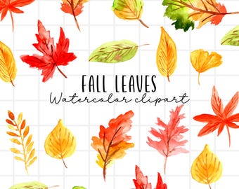 Watercolor fall leaves clipart, Autumn graphics in png format commercial use