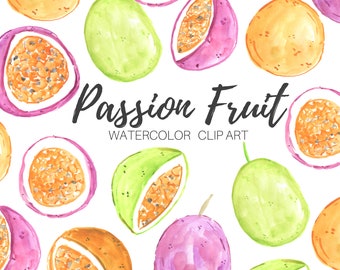 watercolor clip art - Passion fruit clip art - food - fruit graphics - commercial use