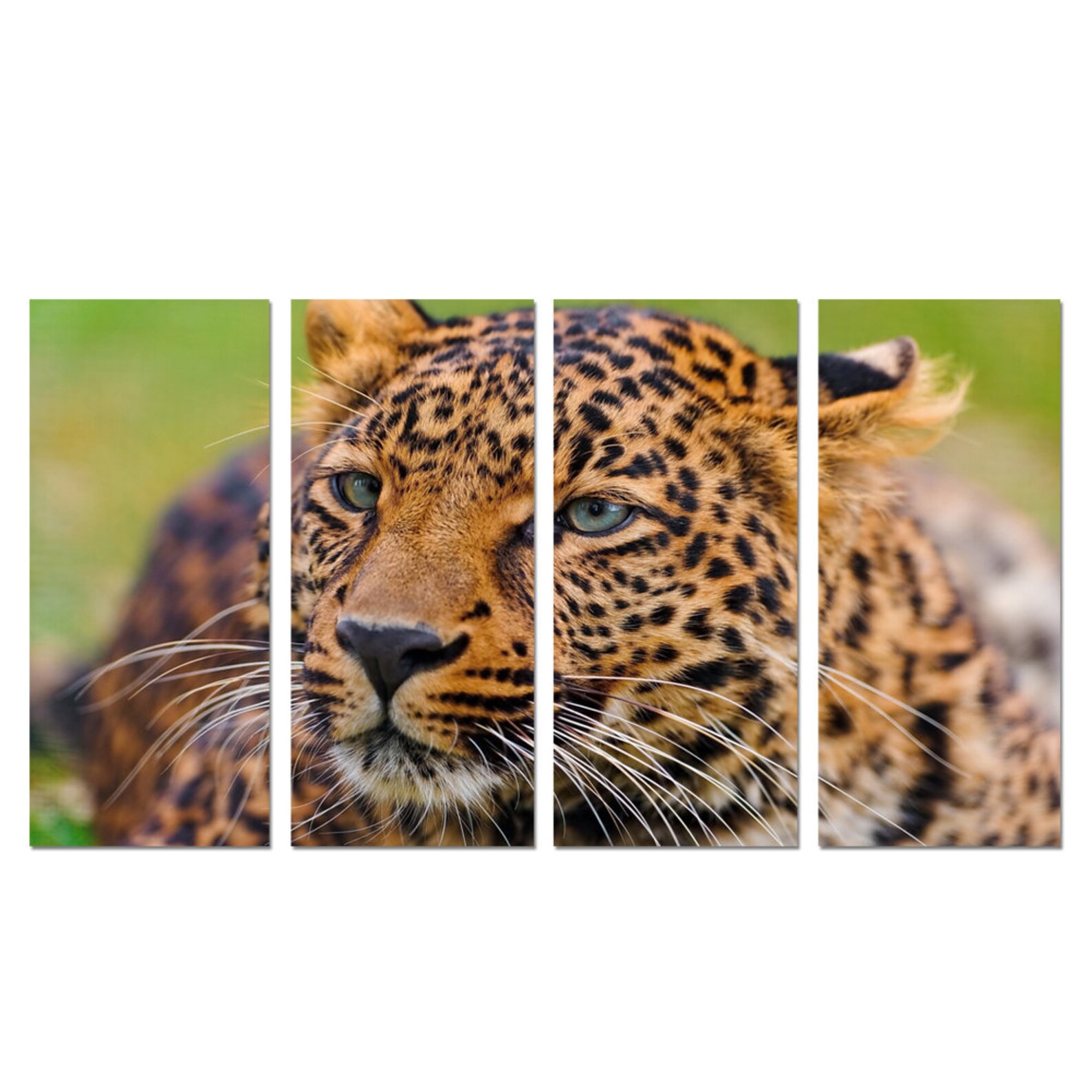 LEOPARD Custom framed canvas prints. Large selection of Etsy