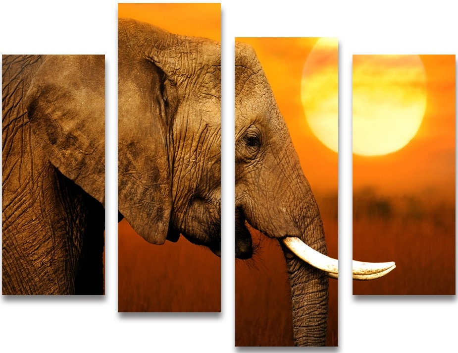 ELEPHANT Custom framed canvas prints. Large selection of Etsy