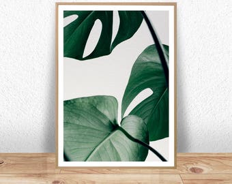 Monstera print, Monstera Leaf, Monstera Plant, Green leaves, Nature Photography, Green Nature Art, Nature Art, Botanical Art, Tropical Leaf