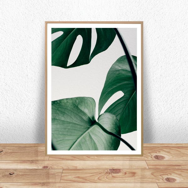 Monstera print, Monstera Leaf, Monstera Plant, Green leaves, Nature Photography, Green Nature Art, Nature Art, Botanical Art, Tropical Leaf