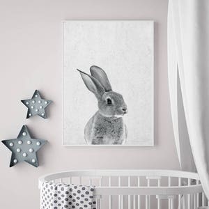 Rabbit Print, Nursery Animal Print, Nursery Animals, Bunny Tail Print, Nursery Printable, Nursery Art Print, Woodlands Nursery, Rabbit Tail image 3