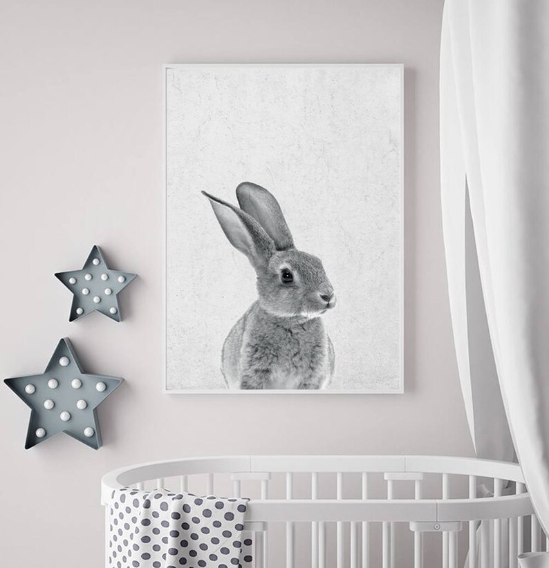 Rabbit Print, Nursery Animal Print, Nursery Animals, Bunny Tail Print, Nursery Printable, Nursery Art Print, Woodlands Nursery, Rabbit Tail image 3