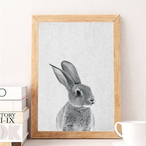 Rabbit Print, Nursery Animal Print, Nursery Animals, Bunny Tail Print, Nursery Printable, Nursery Art Print, Woodlands Nursery, Rabbit Tail image 5