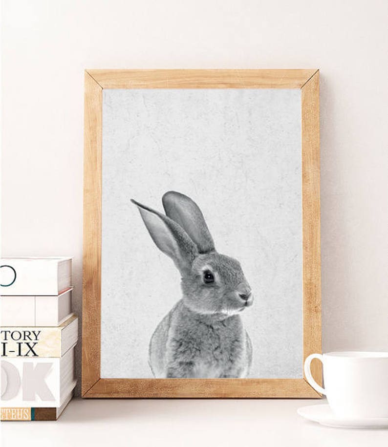 Rabbit Print, Nursery Animal Print, Nursery Animals, Bunny Tail Print, Nursery Printable, Nursery Art Print, Woodlands Nursery, Rabbit Tail image 5