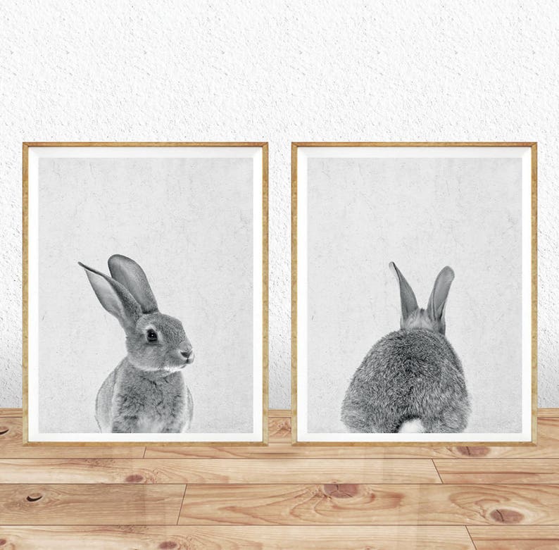 Rabbit Print, Nursery Animal Print, Nursery Animals, Bunny Tail Print, Nursery Printable, Nursery Art Print, Woodlands Nursery, Rabbit Tail image 2