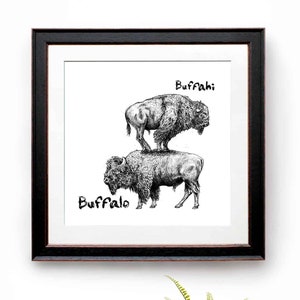 May include: Black framed art print featuring two buffalo, one standing on top of the other. The word "Buffalo" is written below the bottom buffalo, and "Buffahi" is written above the top buffalo. The print is displayed above a wooden stool with potted plants.