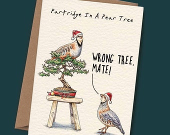 Partridge Christmas Card (C12) - Bird Holiday Card - Merry Christmas Card