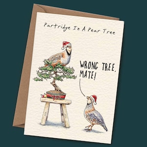 Partridge Christmas Card (C12) - Bird Holiday Card - Merry Christmas Card