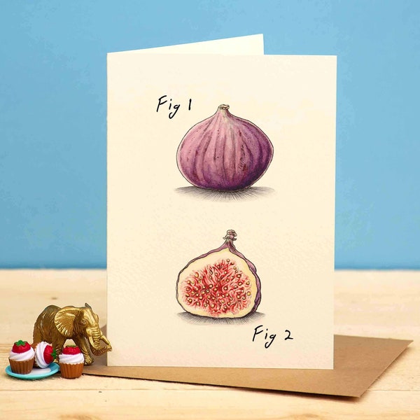 Fig Card - Dad Joke Card - Funny Food Card - Punny Card  - Funny Brother Card