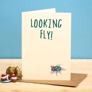 Schauende Fliegenkarte – Insektenkarten – Käferkarten – Teenager-Karte – lustige Freund-Karte – Wortspiel-Karte