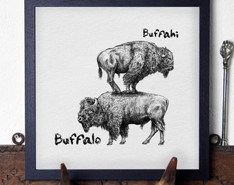 Buffahi... Buffalo Print - Bison Print - Quirky Animal Print - African Wildlife Art