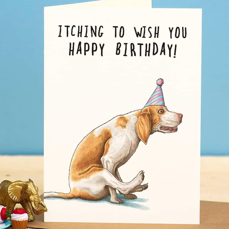 Funny Dog Birthday Card - Etsy UK