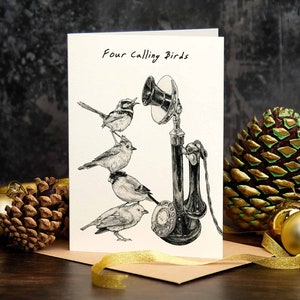 Four Calling Birds Christmas Card C04 Funny Christmas Card 12 Days of Christmas Bird Greeting Card image 4