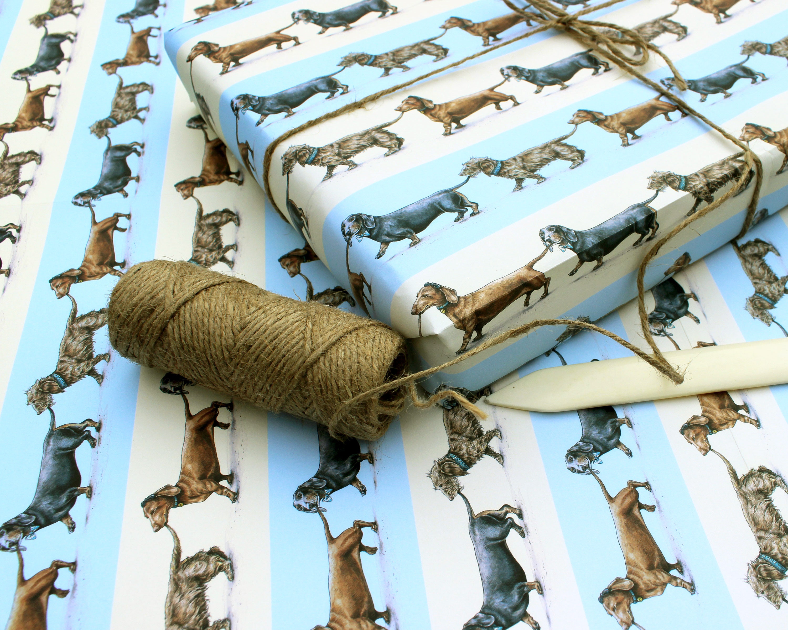 Sausage Dogs Wrapping Paper Sheet Dachshund Gift Wrap Dog Etsy UK