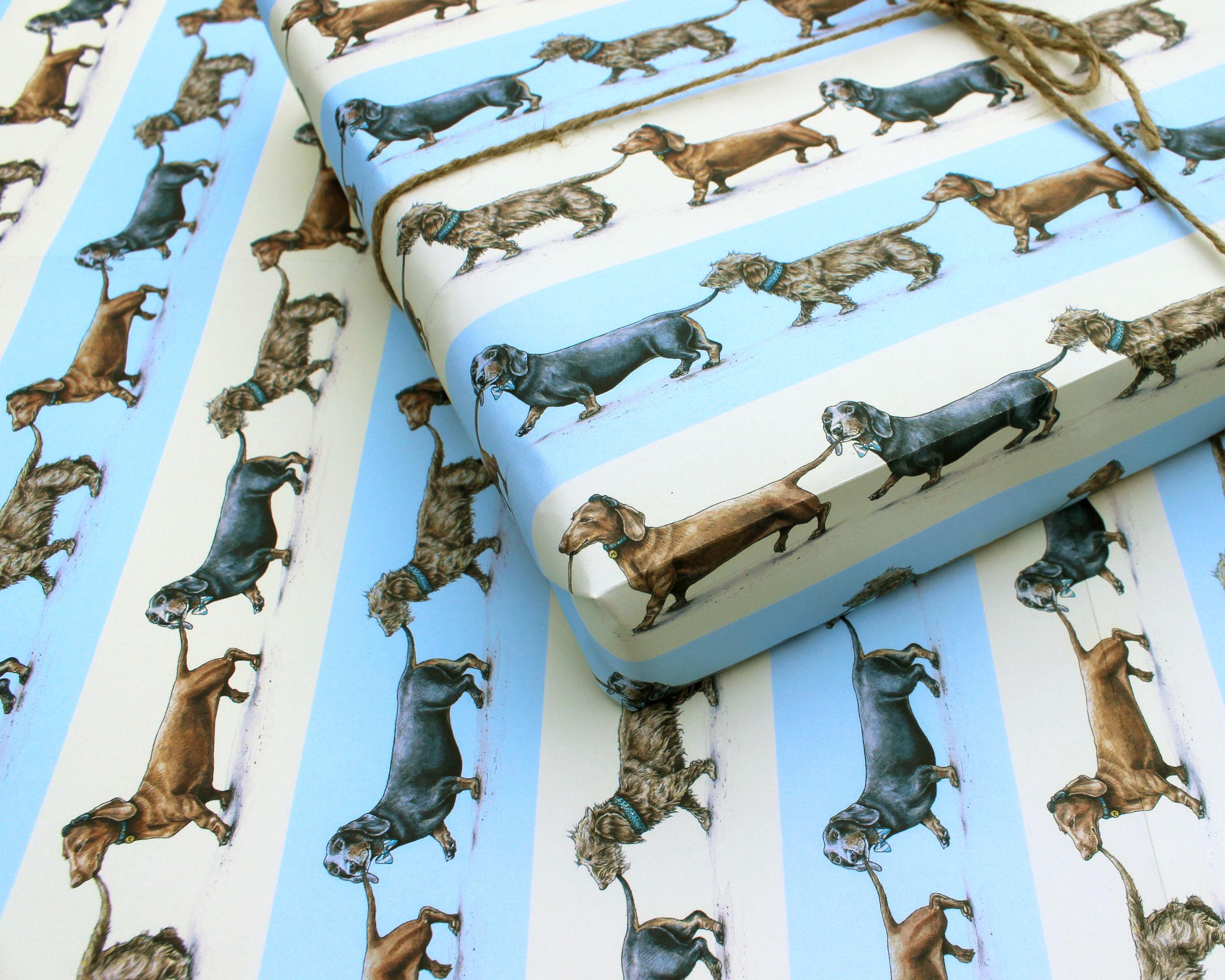 Sausage Dogs Wrapping Paper Sheet Dachshund Gift Wrap Dog Etsy UK