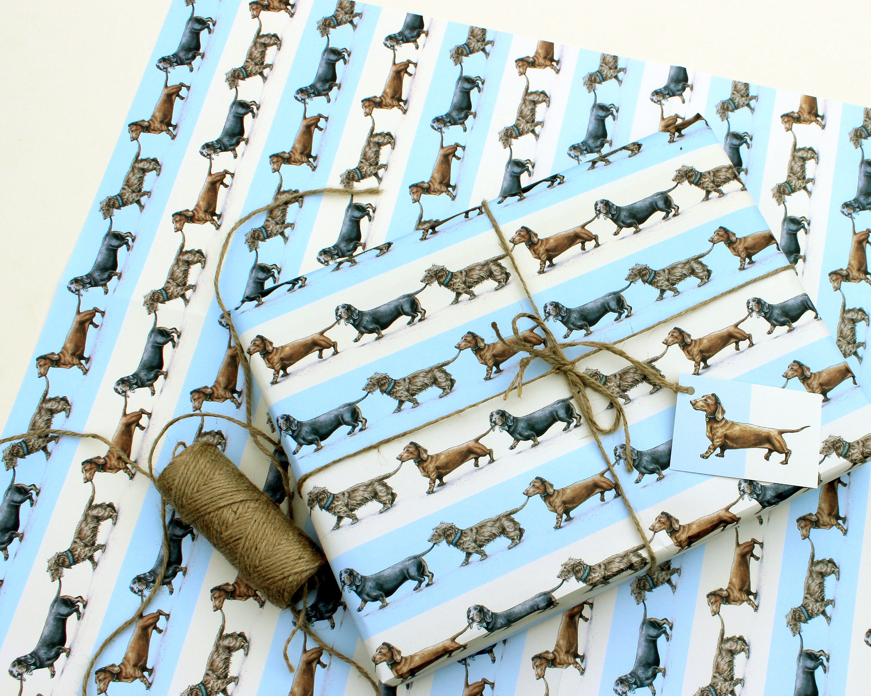 Sausage Dogs Wrapping Paper Sheet Dachshund Gift Wrap Dog Etsy UK