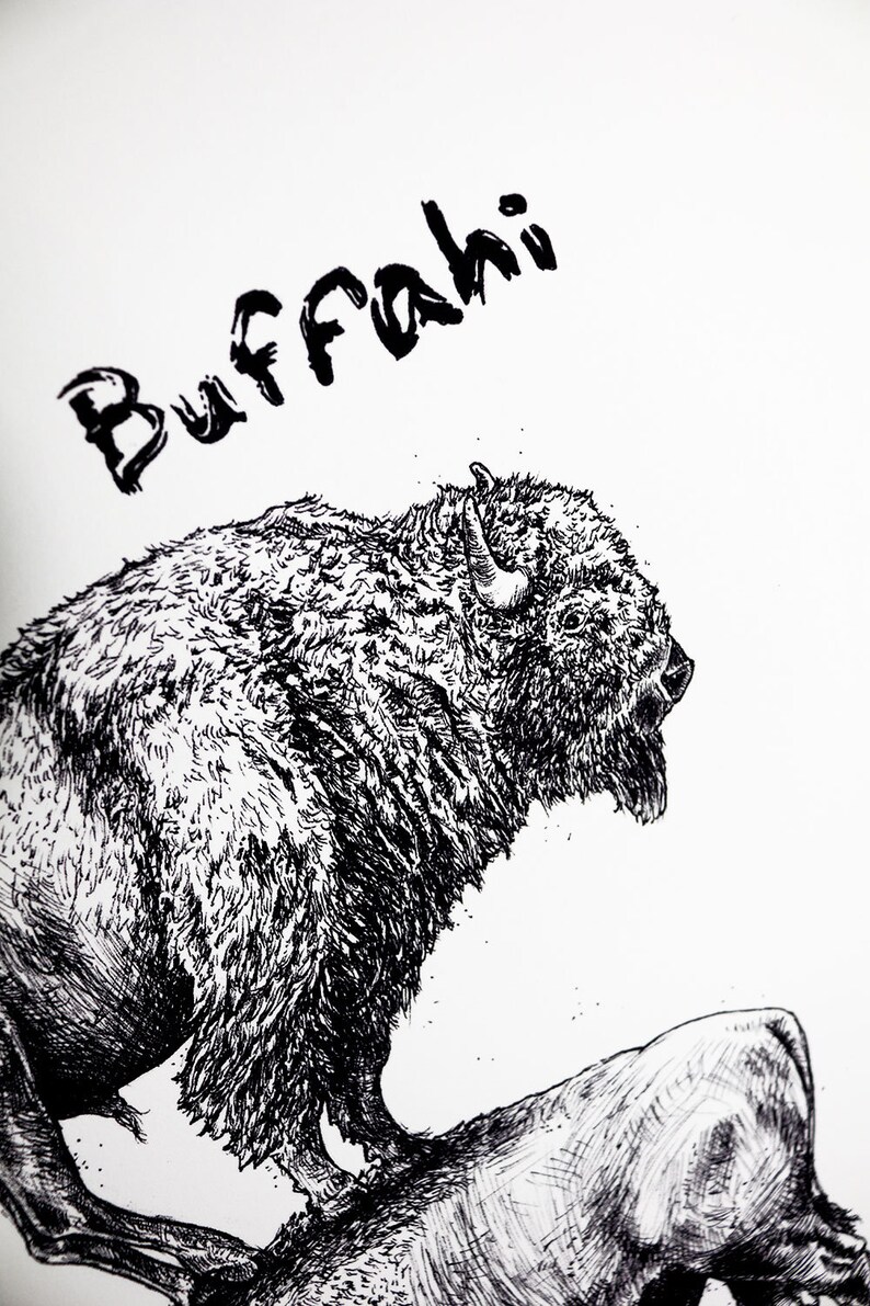 May include: Black and white pen and ink illustration of a bison, with the word "Buffahi" above it. The bison is depicted in profile, with detailed fur and horns, and is standing on a rock.