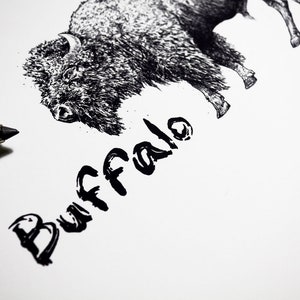May include: A detailed pen and ink drawing of a bison with the word "Buffalo" in a bold, handwritten font. The artwork is in black and white, with a pen in the foreground, suggesting the drawing process. The image is on a white background.