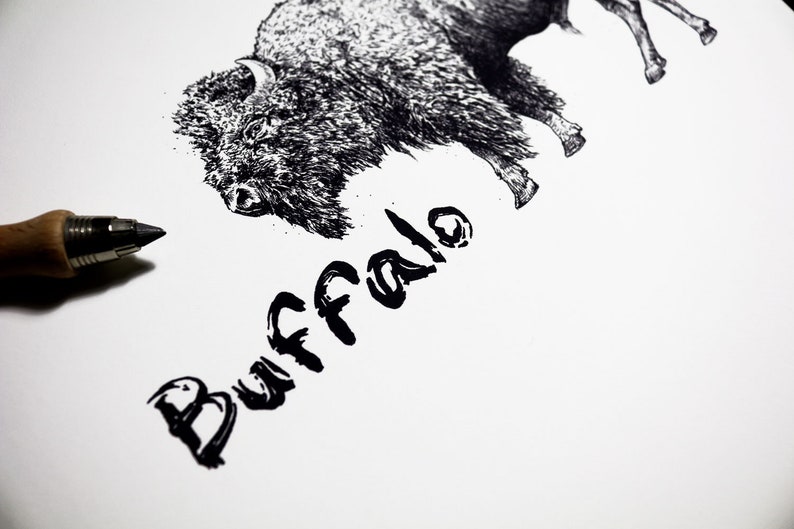 May include: A detailed pen and ink drawing of a bison with the word "Buffalo" in a bold, handwritten font. The artwork is in black and white, with a pen in the foreground, suggesting the drawing process. The image is on a white background.