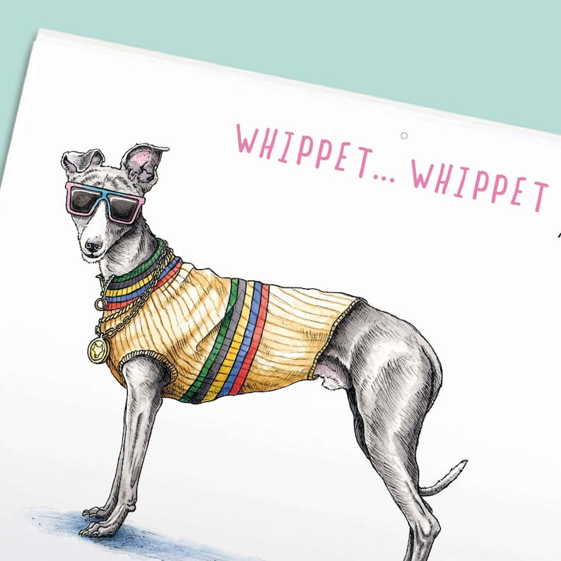 May include: A drawing of a grey whippet wearing pink-rimmed sunglasses, a gold chain with a circular pendant, and a yellow ribbed sweater featuring horizontal blue, green, and red stripes. The text WHIPPET... WHIPPET is printed in pink above the dog.
