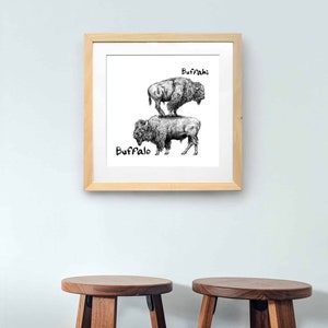 May include: A framed black and white illustration of two buffalo, one standing on top of the other. The word "Buffalo" is written below the bottom buffalo, and "Buffahi" is written above the top buffalo. The frame is light brown.