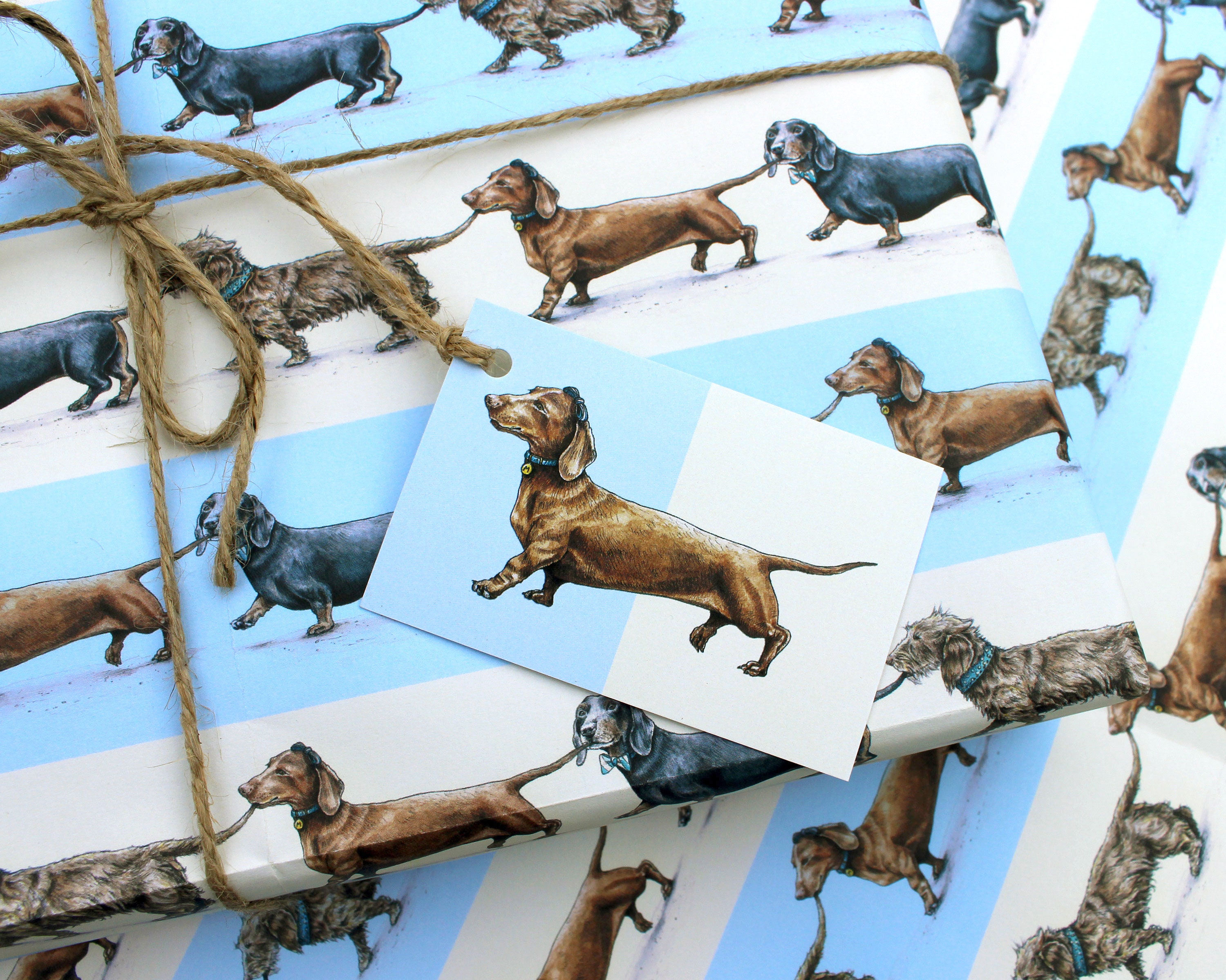 Sausage Dogs Wrapping Paper Sheet Dachshund Gift Wrap Dog Etsy UK