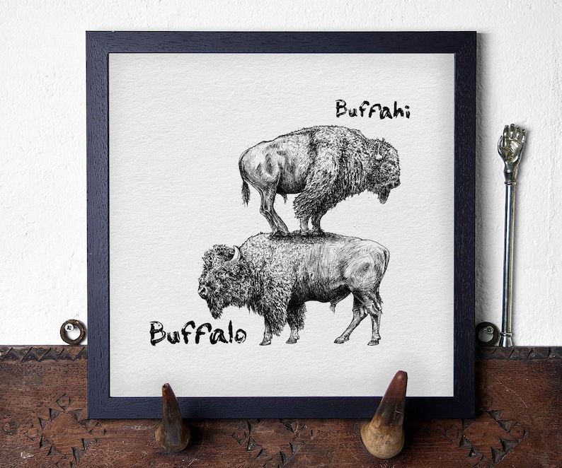 May include: Black framed print featuring two detailed pen and ink drawings of bison. The word "Buffahi" is above the top bison, and the word "Buffalo" is below the bottom bison. The artwork is displayed on a white background.