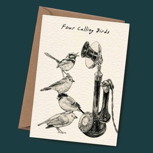 Four Calling Birds Christmas Card C04 Funny Christmas Card 12 Days of Christmas Bird Greeting Card image 1
